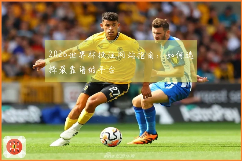 2026世界杯投注网站指南，如何选择最靠谱的平台