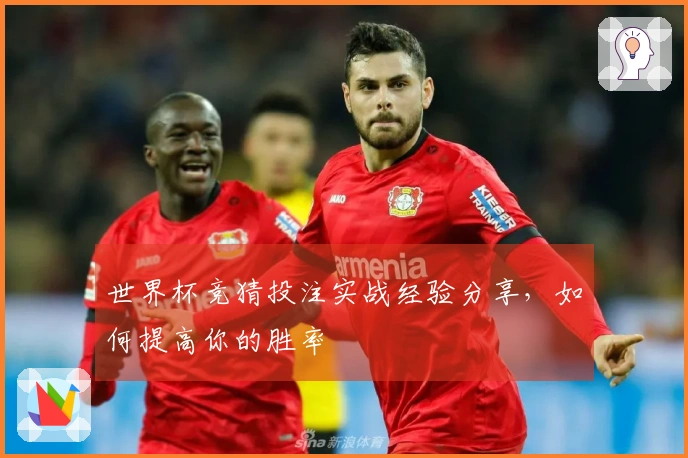 世界杯竞猜投注实战经验分享，如何提高你的胜率