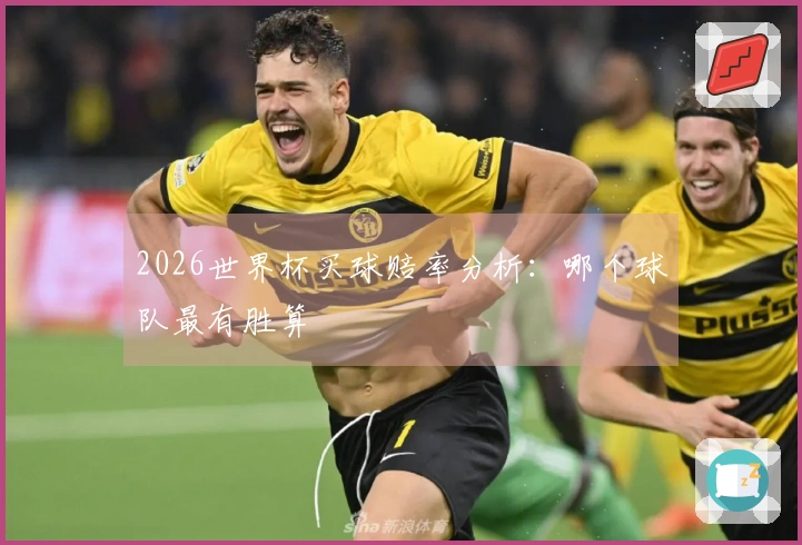 2026世界杯买球赔率分析：哪个球队最有胜算