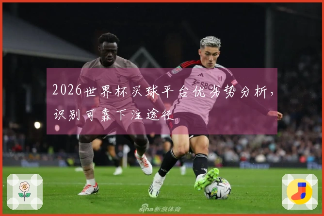 2026世界杯买球平台优劣势分析，识别可靠下注途径