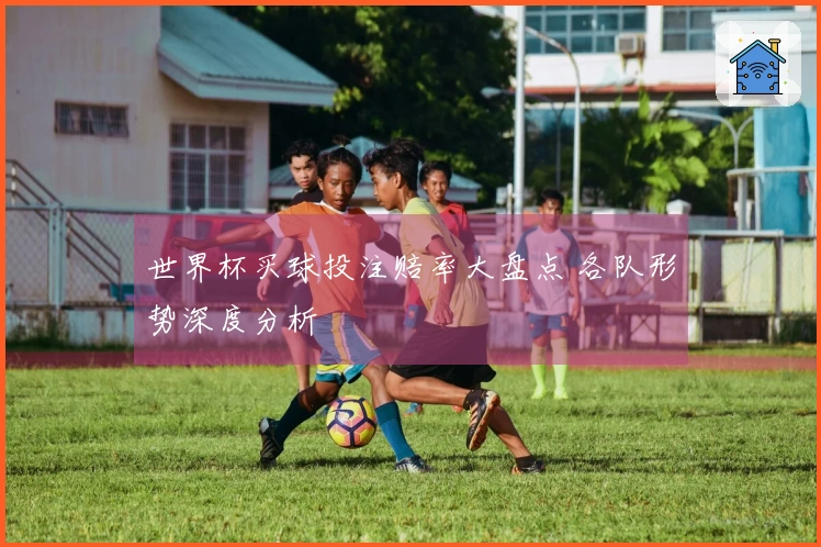 世界杯买球投注赔率大盘点 各队形势深度分析