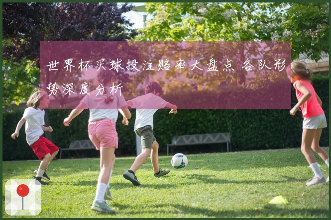 世界杯买球投注赔率大盘点 各队形势深度分析