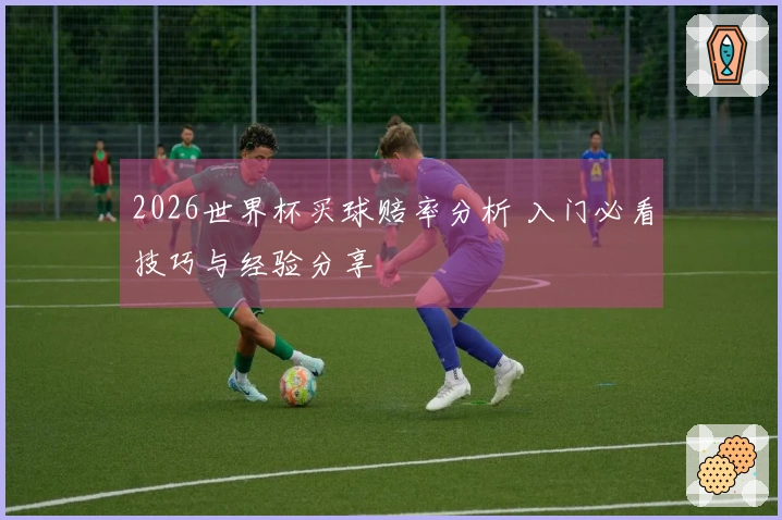 2026世界杯买球赔率分析 入门必看技巧与经验分享