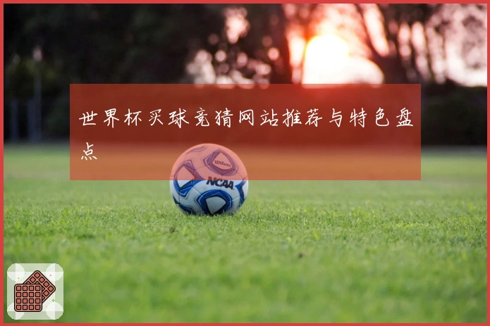 世界杯买球竞猜网站推荐与特色盘点