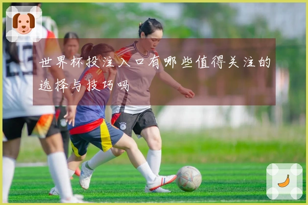 世界杯投注入口有哪些值得关注的选择与技巧吗