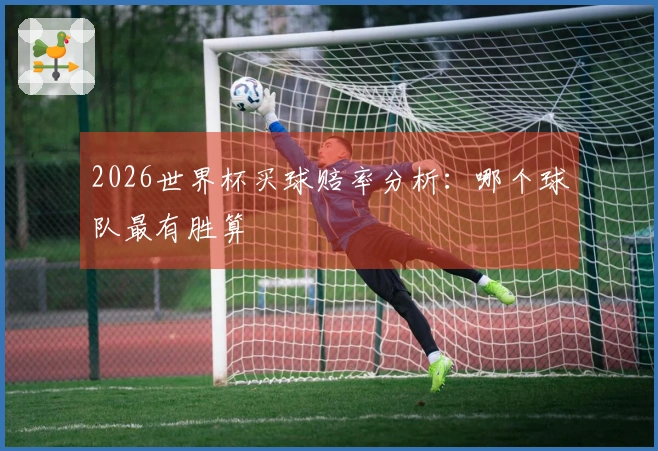 2026世界杯买球赔率分析：哪个球队最有胜算